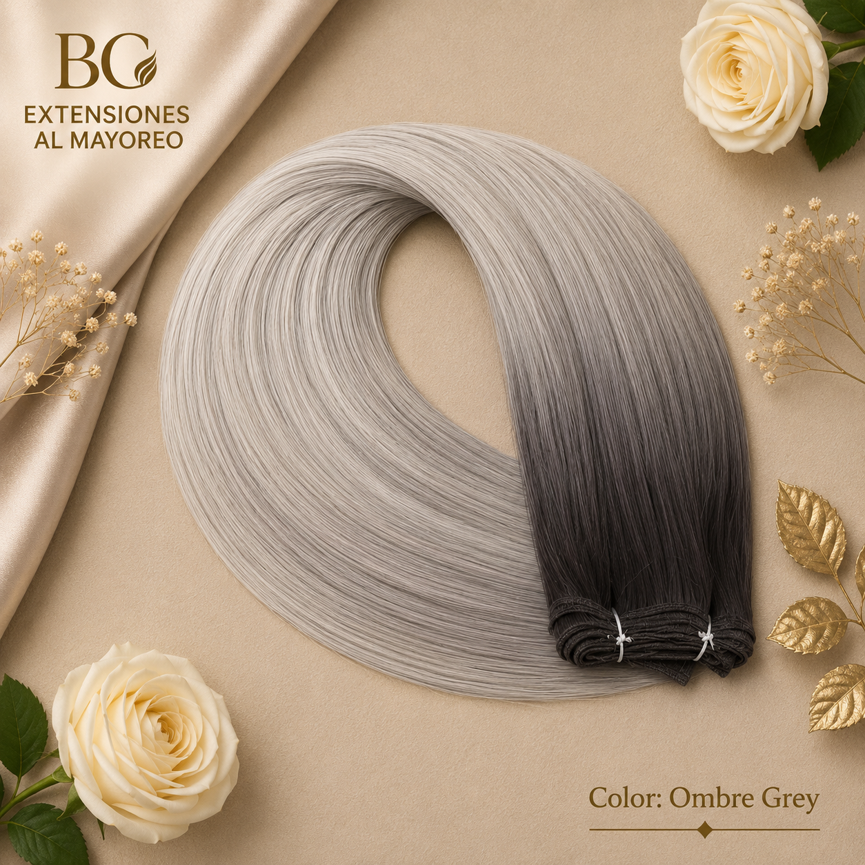 Color- Ombre Grey